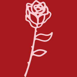 FELICIA OFFICIAL STORE